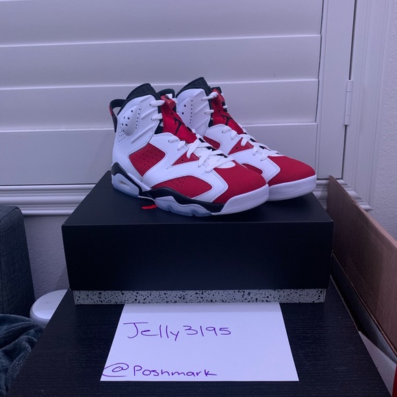 Jordan Other - 2021 Air Jordan 6 Carmine